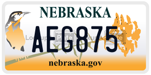 AEG875  license plate in NE