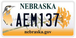 AEM137  license plate in NE
