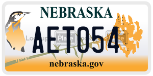 AET054  license plate in NE