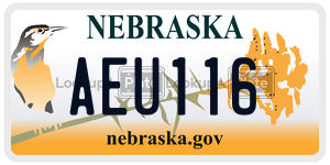 AEU116  license plate in NE