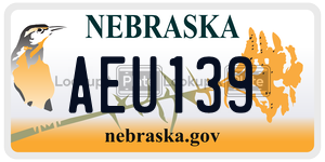 AEU139  license plate in NE