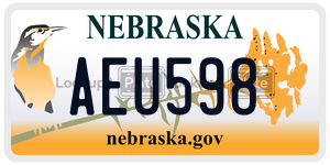 AEU598  license plate in NE