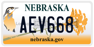 AEV668  license plate in NE