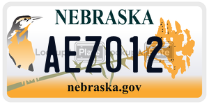 AEZ012  license plate in NE