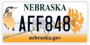 AFF848  license plate in NE