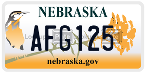 AFG125  license plate in NE