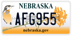 AFG955  license plate in NE