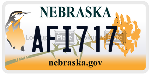 AFI717  license plate in NE