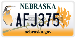 AFJ375  license plate in NE