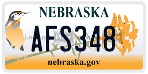 AFS348  license plate in NE