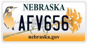 AFV656  license plate in NE