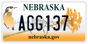 AGG137  license plate in NE
