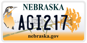 AGI217  license plate in NE