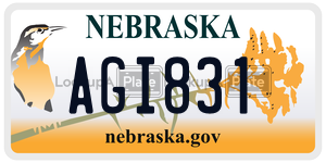 AGI831  license plate in NE