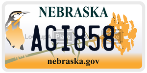 AGI858  license plate in NE