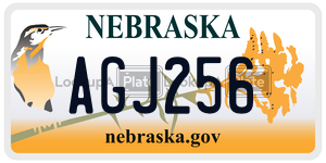 AGJ256  license plate in NE