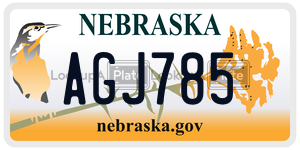 AGJ785  license plate in NE
