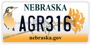 AGR316  license plate in NE