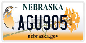AGU905  license plate in NE