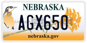 AGX650  license plate in NE