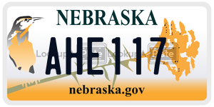 AHE117  license plate in NE