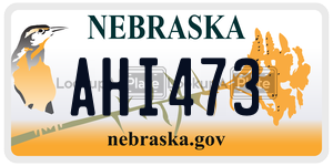 AHI473  license plate in NE