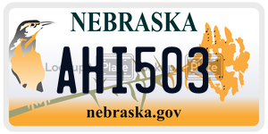 AHI503  license plate in NE