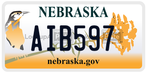 AIB597  license plate in NE