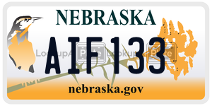 AIF133  license plate in NE