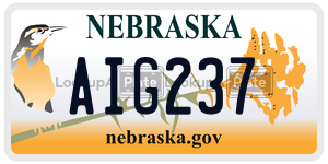 AIG237  license plate in NE