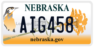 AIG458  license plate in NE
