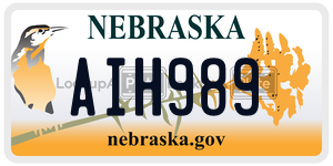 AIH989  license plate in NE