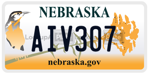 AIV307  license plate in NE