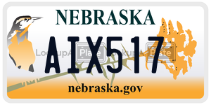 AIX517  license plate in NE