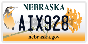 AIX928  license plate in NE