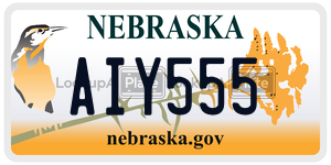 AIY555  license plate in NE