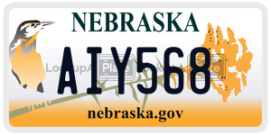 AIY568  license plate in NE