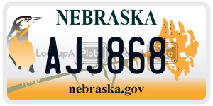 AJJ868  license plate in NE
