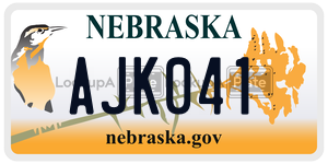 AJK041  license plate in NE