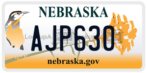 AJP630  license plate in NE