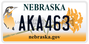 AKA463  license plate in NE