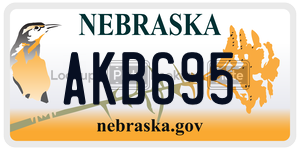 AKB695  license plate in NE