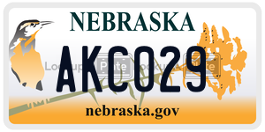 AKC029  license plate in NE