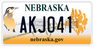 AKJ041  license plate in NE