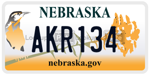 AKR134  license plate in NE