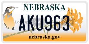AKU963  license plate in NE
