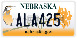 ALA425  license plate in NE