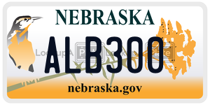 ALB300  license plate in NE