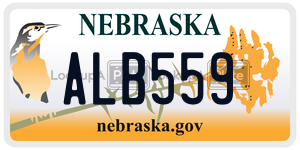 ALB559  license plate in NE