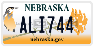 ALI744  license plate in NE
